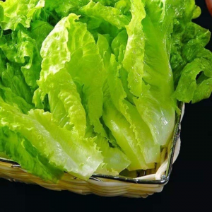 019. Лист салата 300гр. 生菜